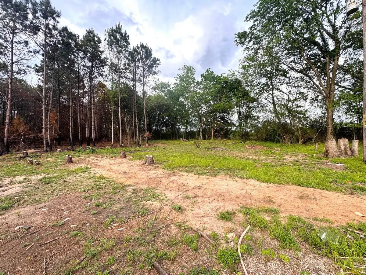 215 CR 4205, Naples, TX 75568 - #1