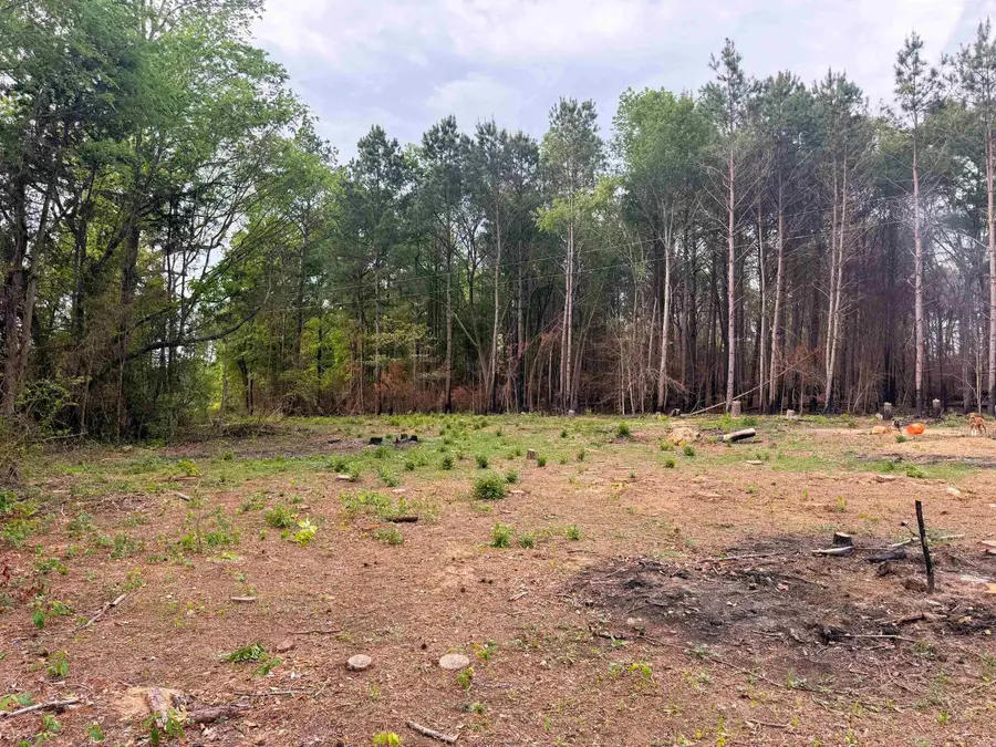 215 CR 4205, Naples, TX 75568 - #2