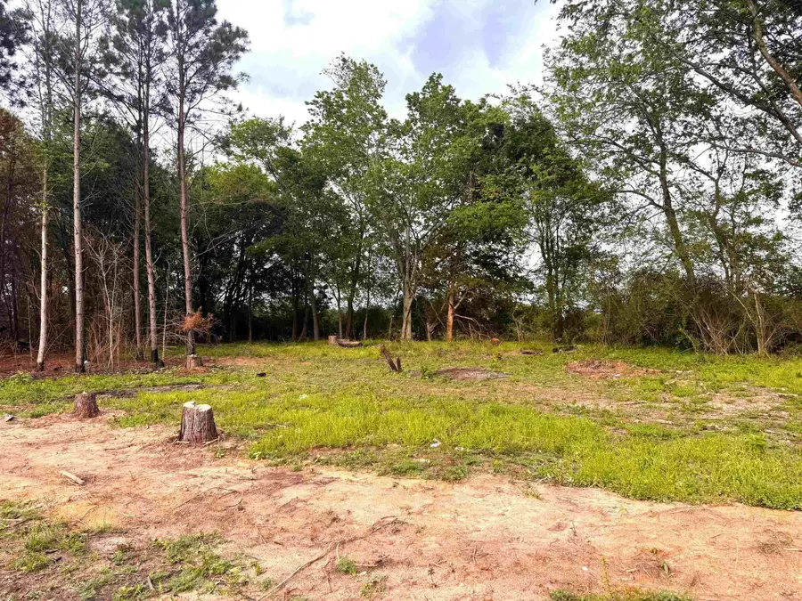 215 CR 4205, Naples, TX 75568 - #3