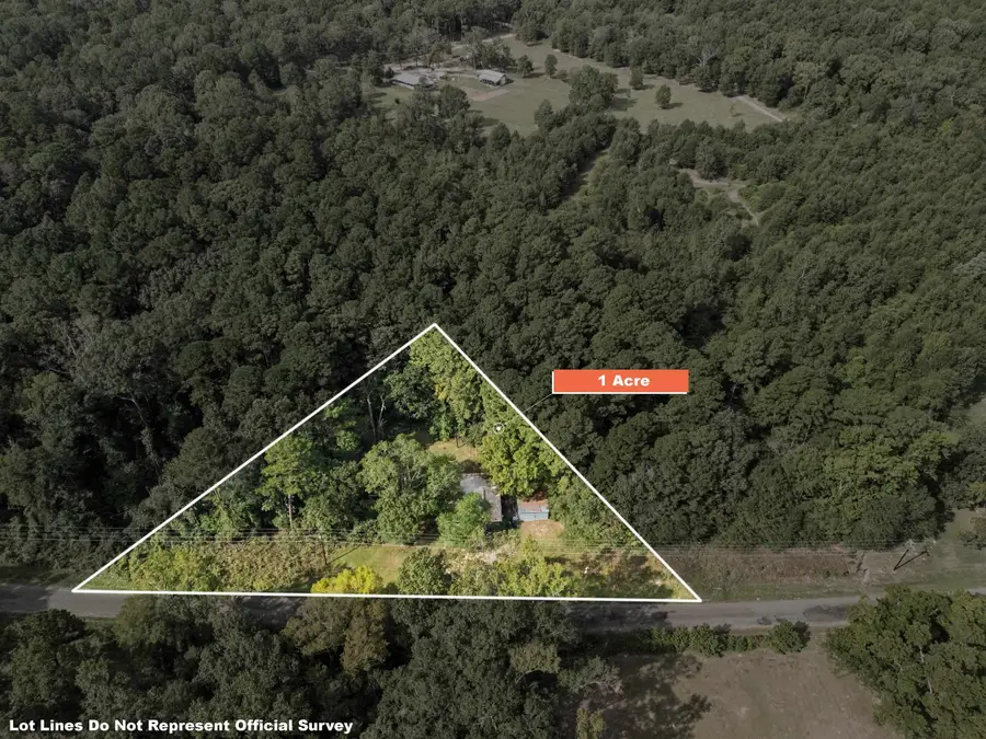 1989 County Rd 175, Gary, TX 75643 - #3