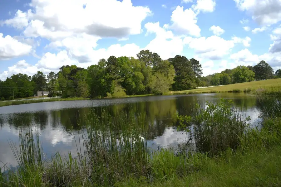 TBD Pumpkin Center Rd, Marshall, TX 75672 - #3