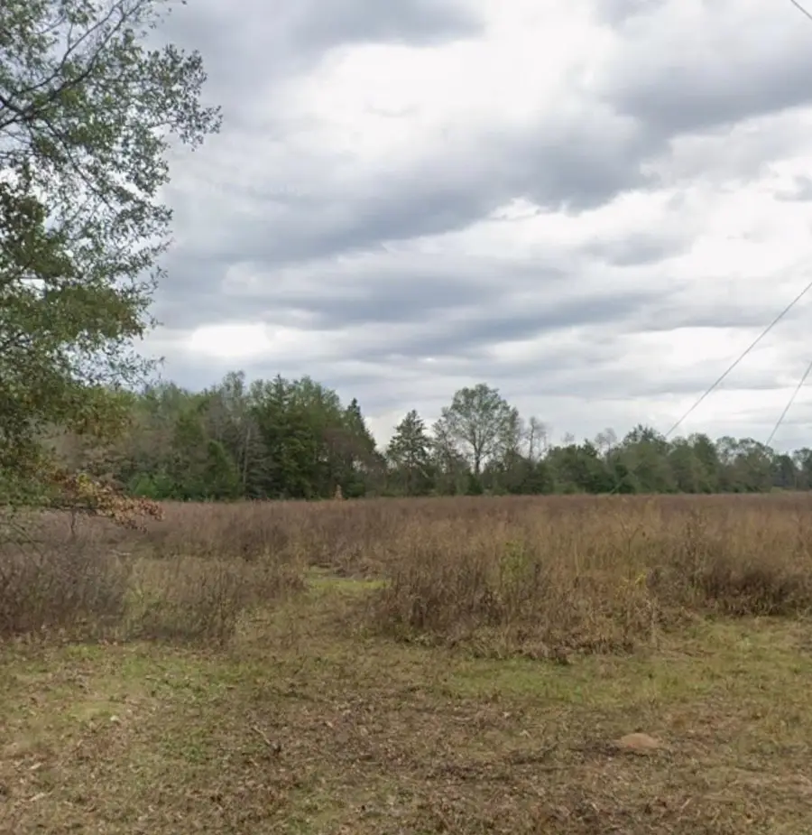 TBD CR 3325, Pittsburg, TX 75686 - #2