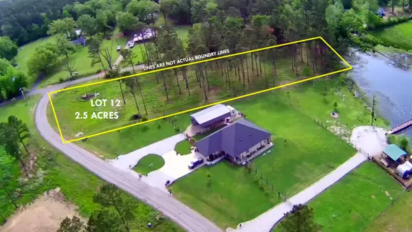 TBD CARDINAL COURT, Diana, TX 75640