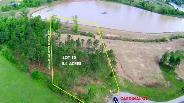 TBD CARDINAL COURT, Diana, TX 75640