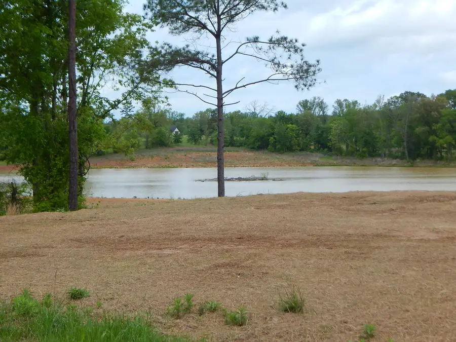 TBD CARDINAL COURT, Diana, TX 75640 - #3