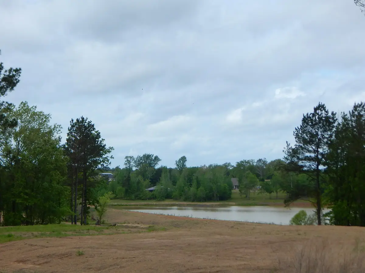 TBD CARDINAL COURT, Diana, TX 75640 - #1