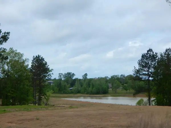 TBD CARDINAL COURT, Diana, TX 75640