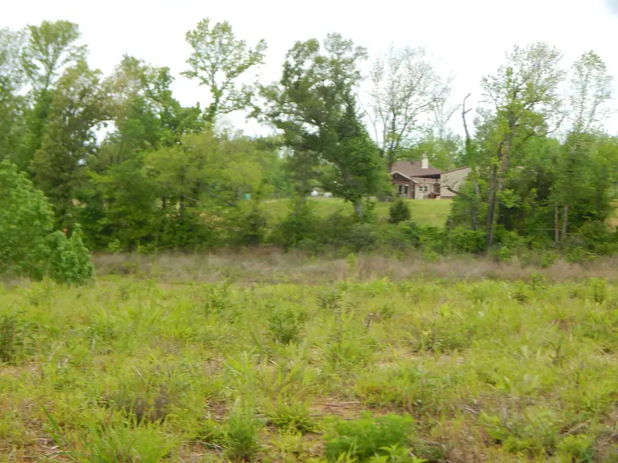 TBD CARDINAL COURT, Diana, TX 75640 - #3