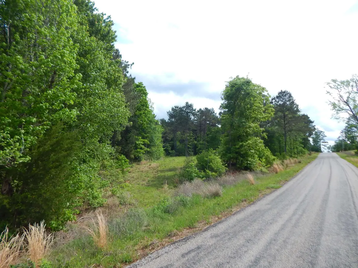 TBD FALCON VIEW, Diana, TX 75640 - #1