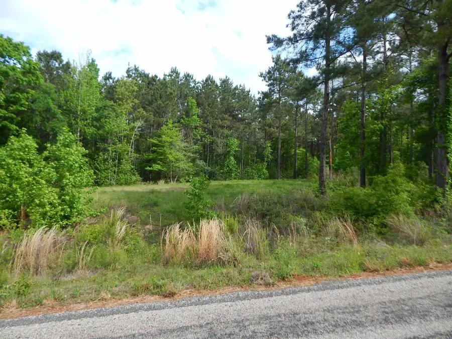 TBD FALCON VIEW, Diana, TX 75640 - #2