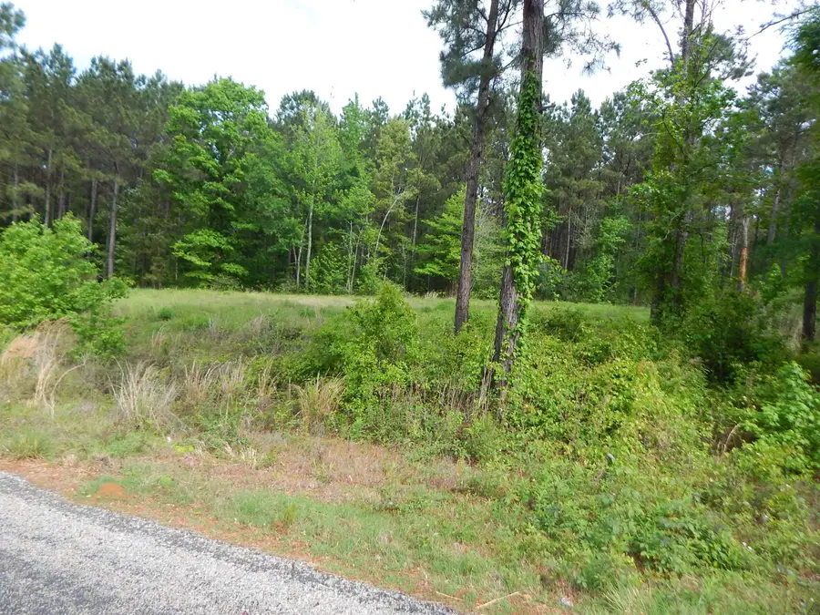 TBD FALCON VIEW, Diana, TX 75640 - #3