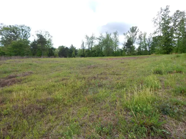 TBD EAGLE COURT, Diana, TX 75640