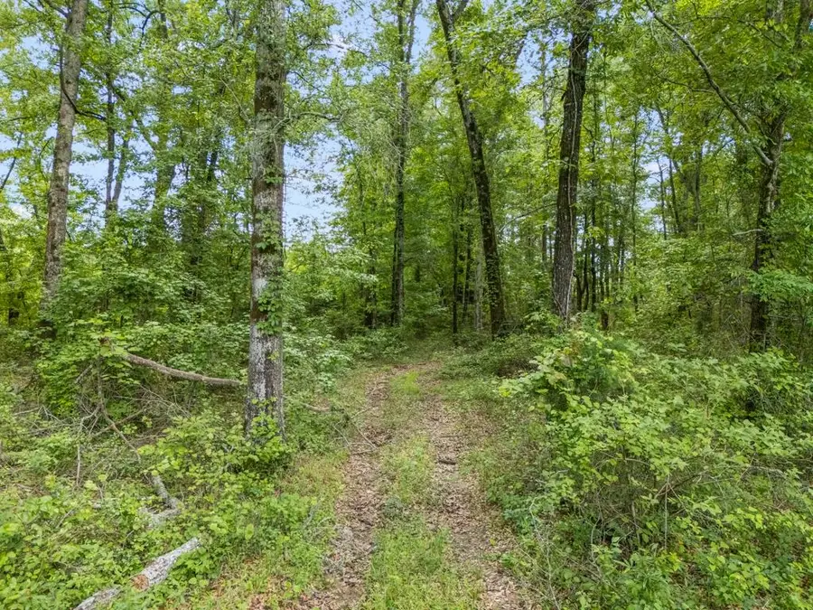 TBD Cowpen Road 14 Acres, Karnack, TX 75661 - #2