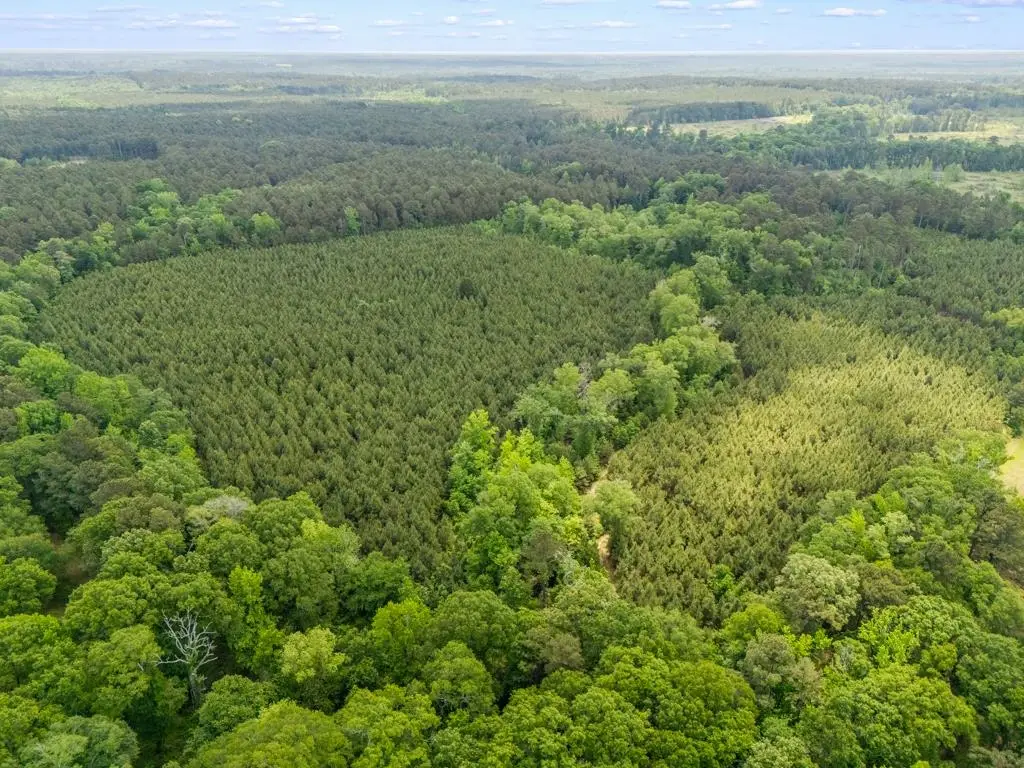 TBD Cowpen Road 68.44 Acres, Karnack, TX 75661 - #1