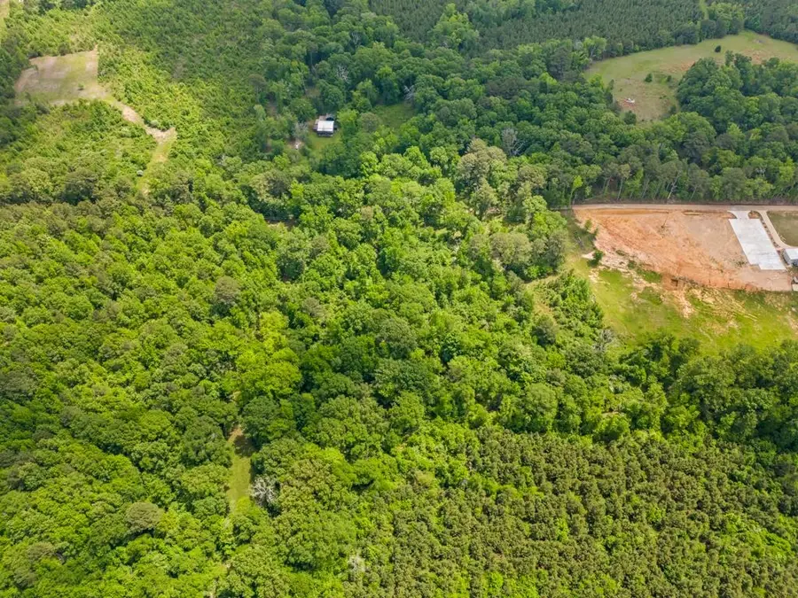 TBD Cowpen Road 68.44 Acres, Karnack, TX 75661 - #3