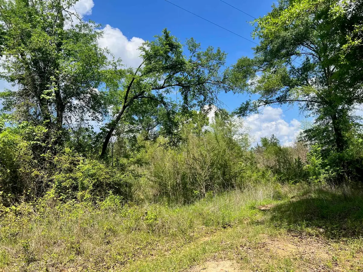 TBD County Rd 1464, Center, TX 75935 - #1