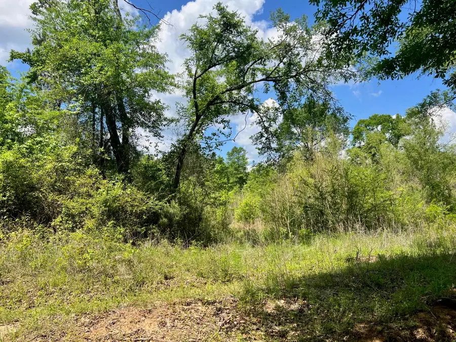TBD County Rd 1464, Center, TX 75935 - #2