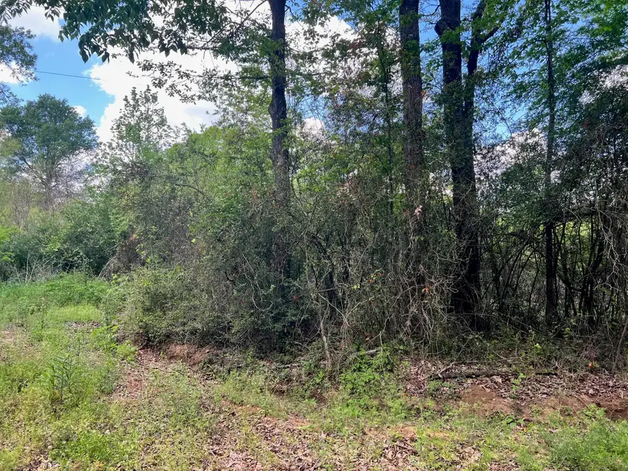 TBD County Rd 1464, Center, TX 75935 - #3