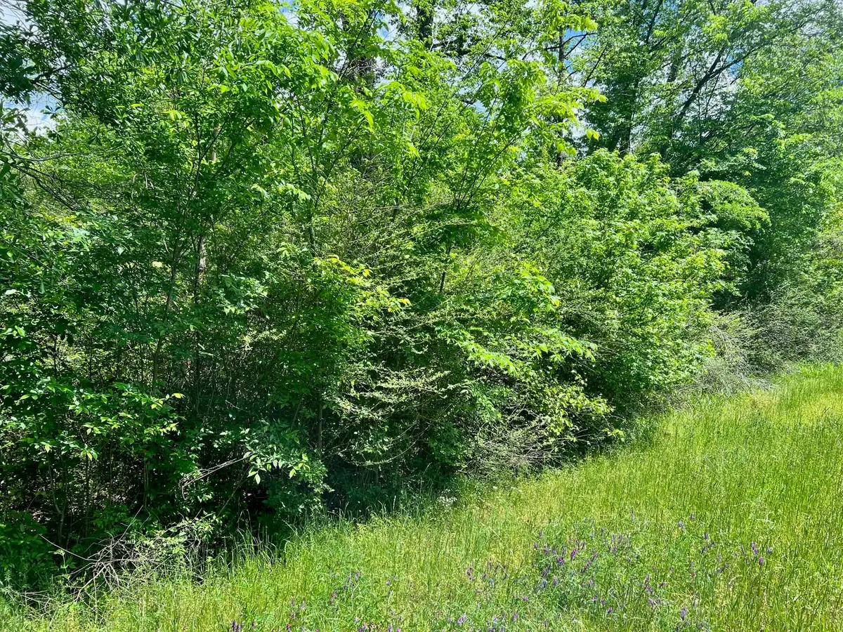 TBD N Highway 87, Center, TX 75935 - #1