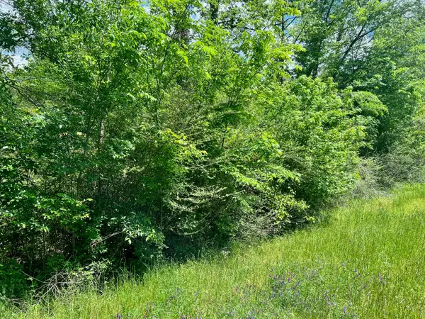 TBD N Highway 87, Center, TX 75935