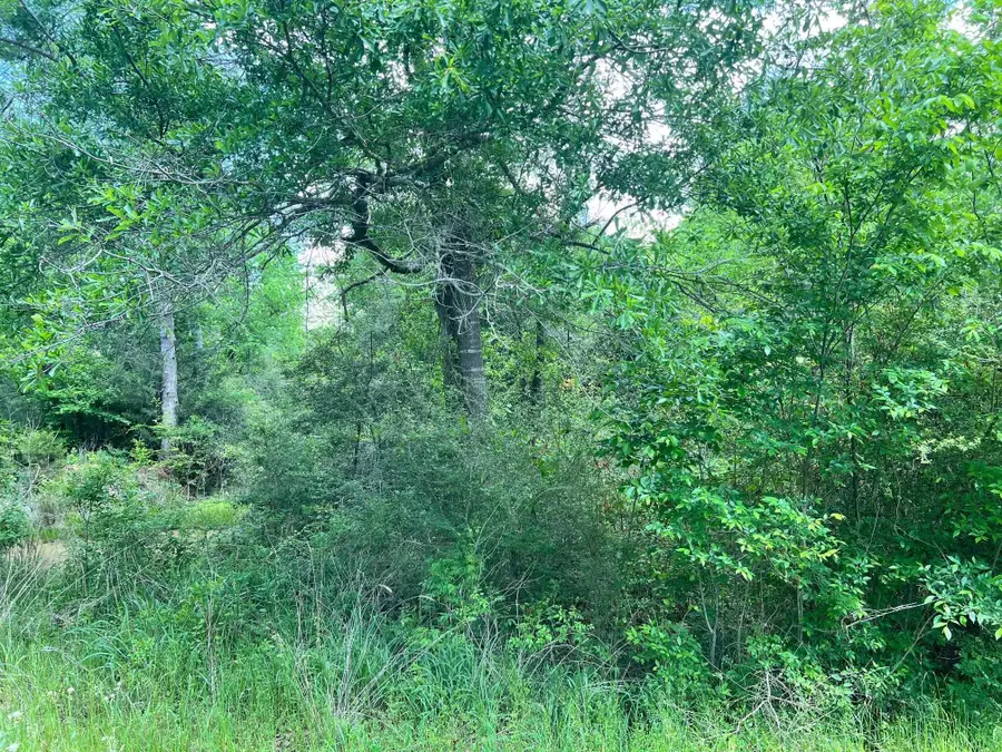 TBD N Highway 87, Center, TX 75935 - #2