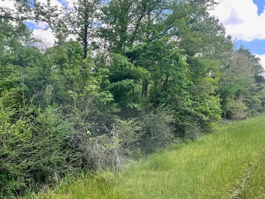 TBD N Highway 87, Center, TX 75935 - #3