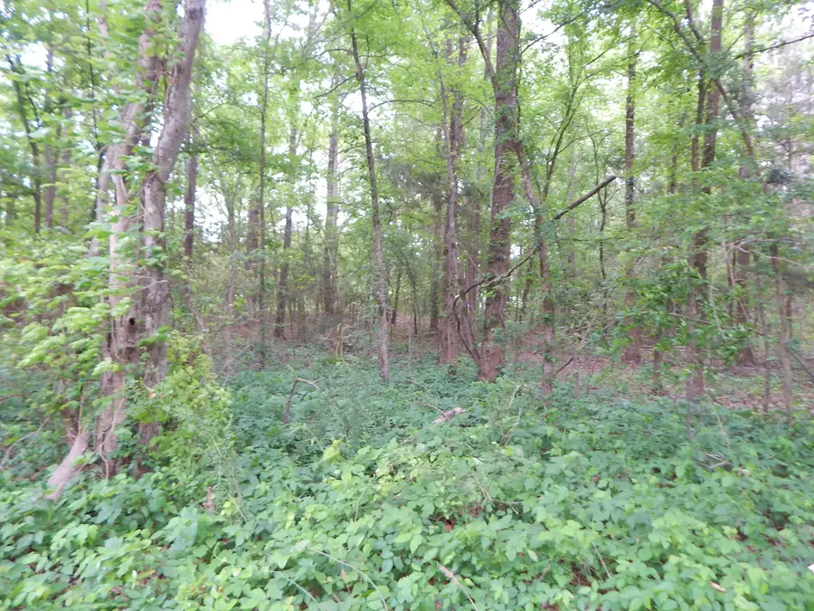 TBD 3.07 ACRE WOODCHUCK RD., Pittsburg, TX 75686 - #2