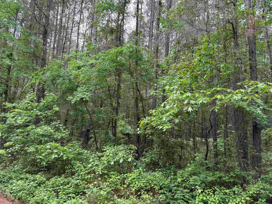 000 FM 1649, Ore City, TX 75683 - #3