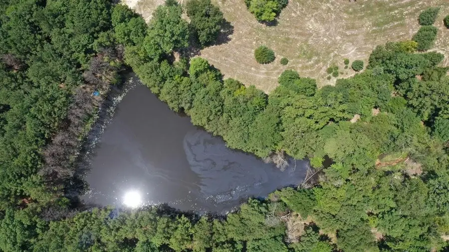 Address Withheld By Seller, Linden, TX 75563 - #3