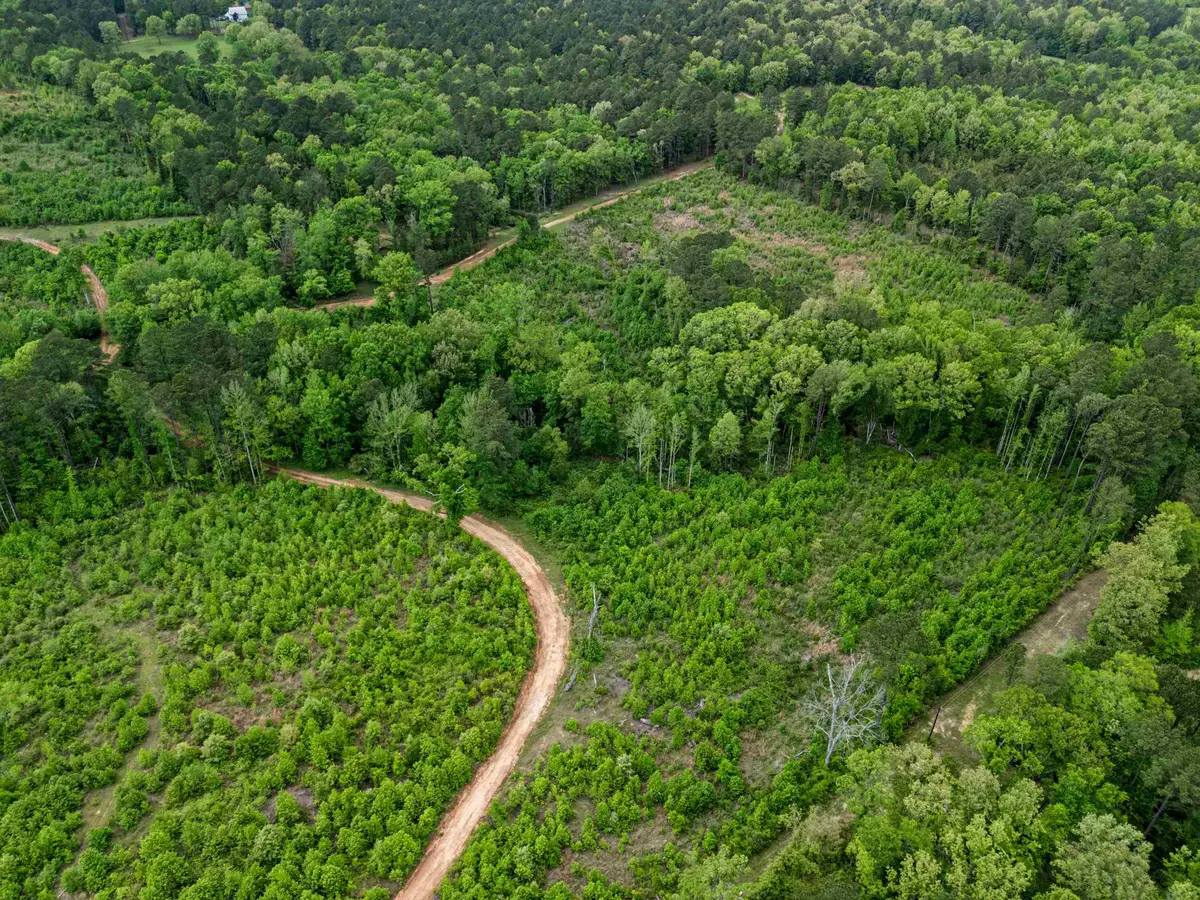 TBD Liberty Two, Jefferson, TX 75657 - #1