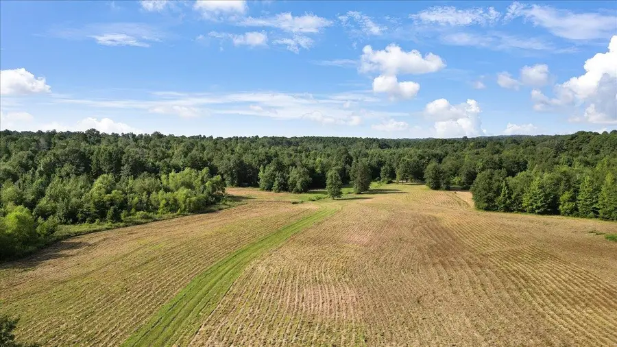 32 Acres S Live Oak Rd, Gilmer, TX 75644 - #2