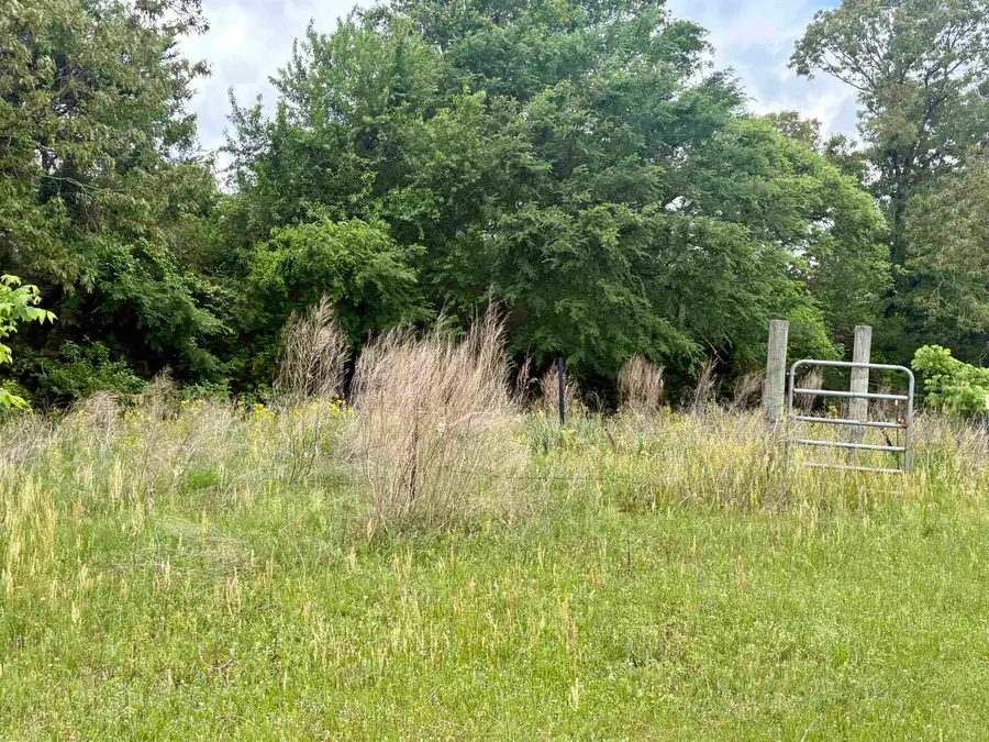 24034 County Road 244, Overton, TX 75684 - #2