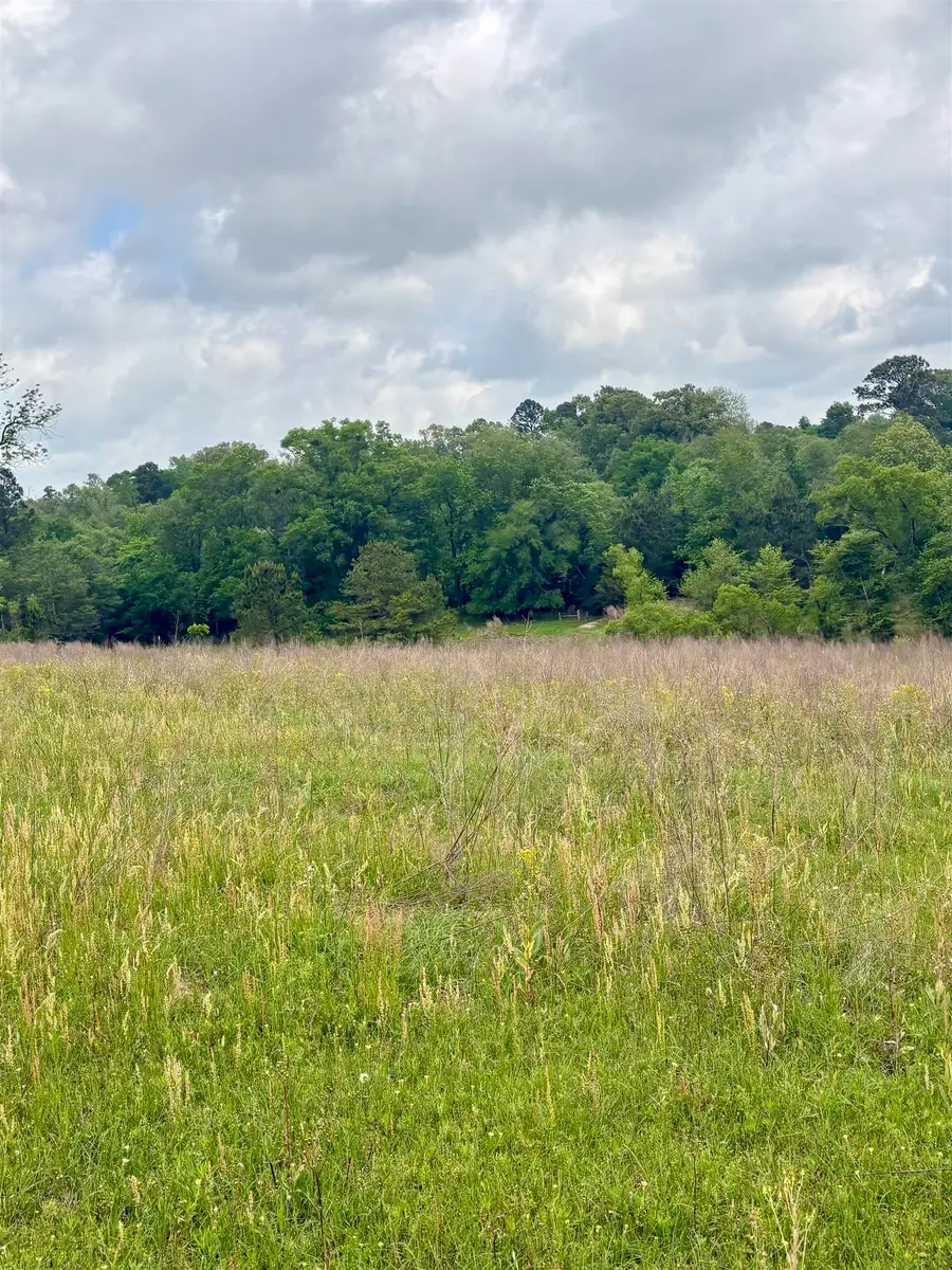 24034 County Road 244, Overton, TX 75684 - #3