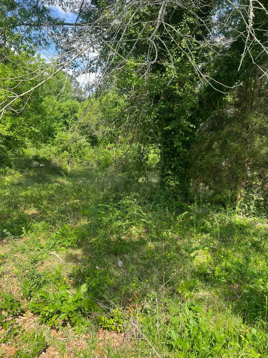 305 Lone Oak Street, Henderson, TX 75654 - #2