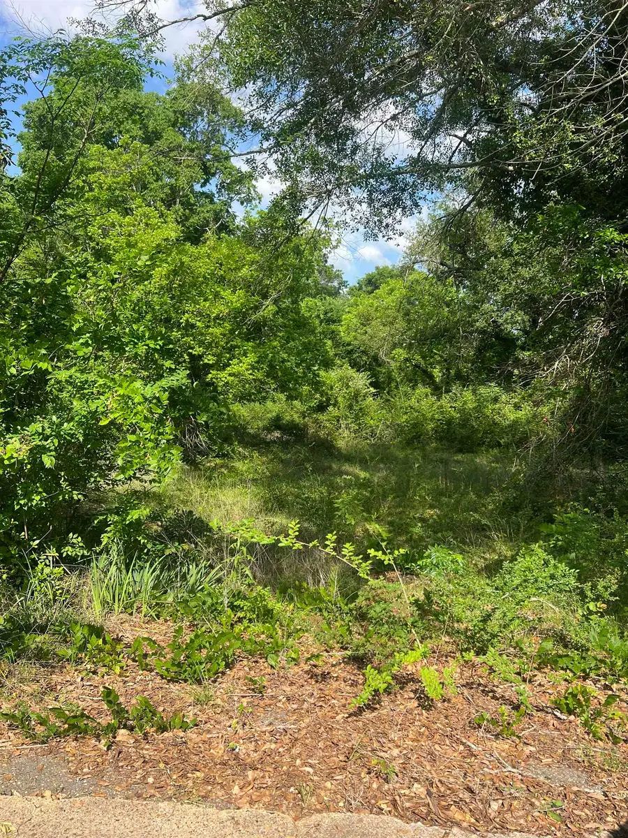 305 Lone Oak Street, Henderson, TX 75654 - #3