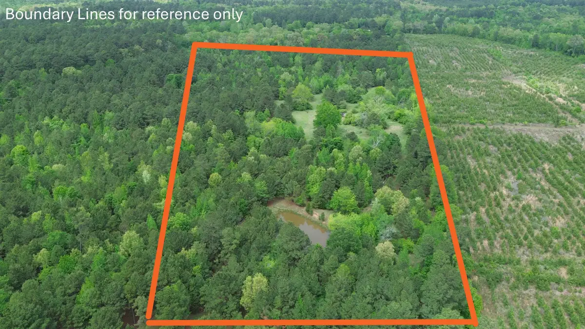 TBD Lotta St., Karnack, TX 75661 - #1