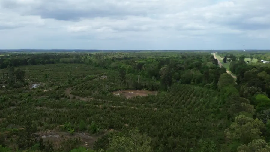 TBD Lotta St., Karnack, TX 75661 - #2