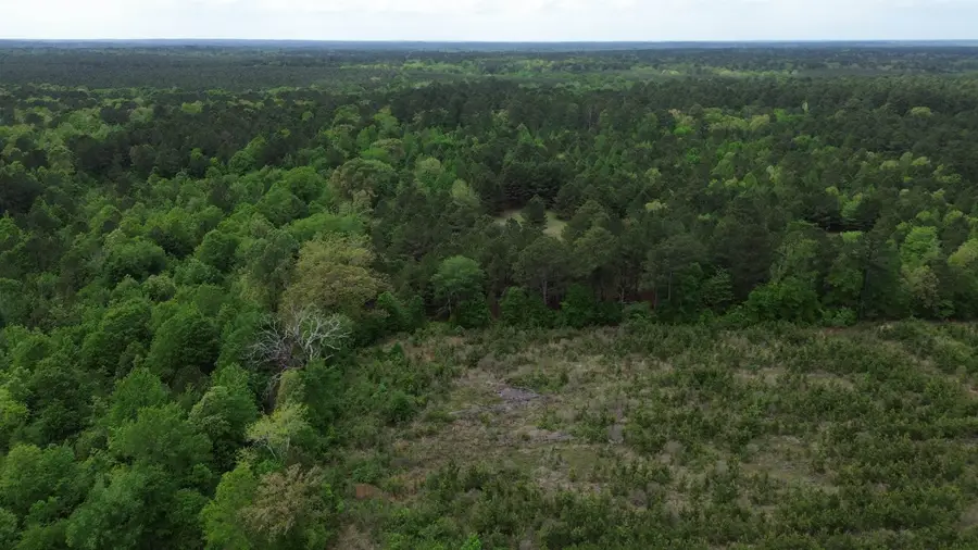 TBD Lotta St., Karnack, TX 75661 - #3