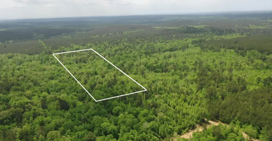 TBD LIBERTY RD, Jefferson, TX 75657 - #2