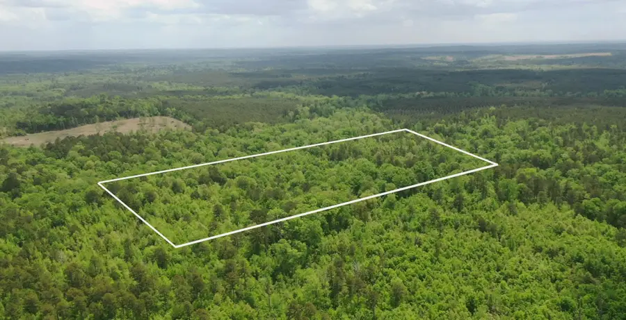 TBD LIBERTY RD, Jefferson, TX 75657 - #3