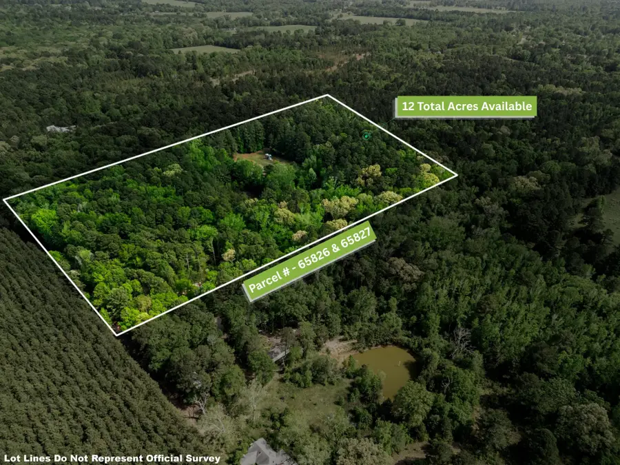 TBD Chinaberry Rd. Tract 3, Gilmer, TX 75645 - #2