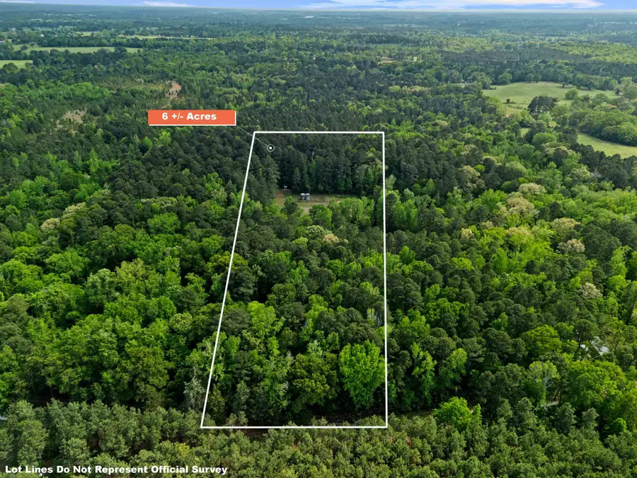 TBD Chinaberry Rd. Tract 3, Gilmer, TX 75645 - #3