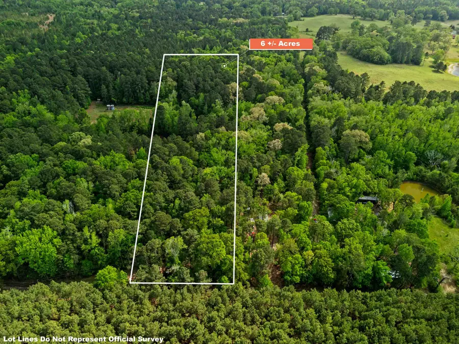 TBD Chinaberry Rd. Tract 4, Gilmer, TX 75645 - #3