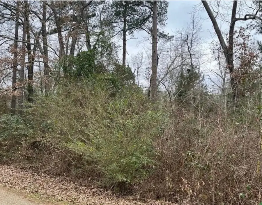 TBD Arrowhead Dr, Jefferson, TX 75657 - #2