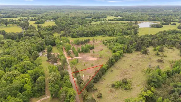 Lot 1 CR 1552, Long Branch, TX 75669