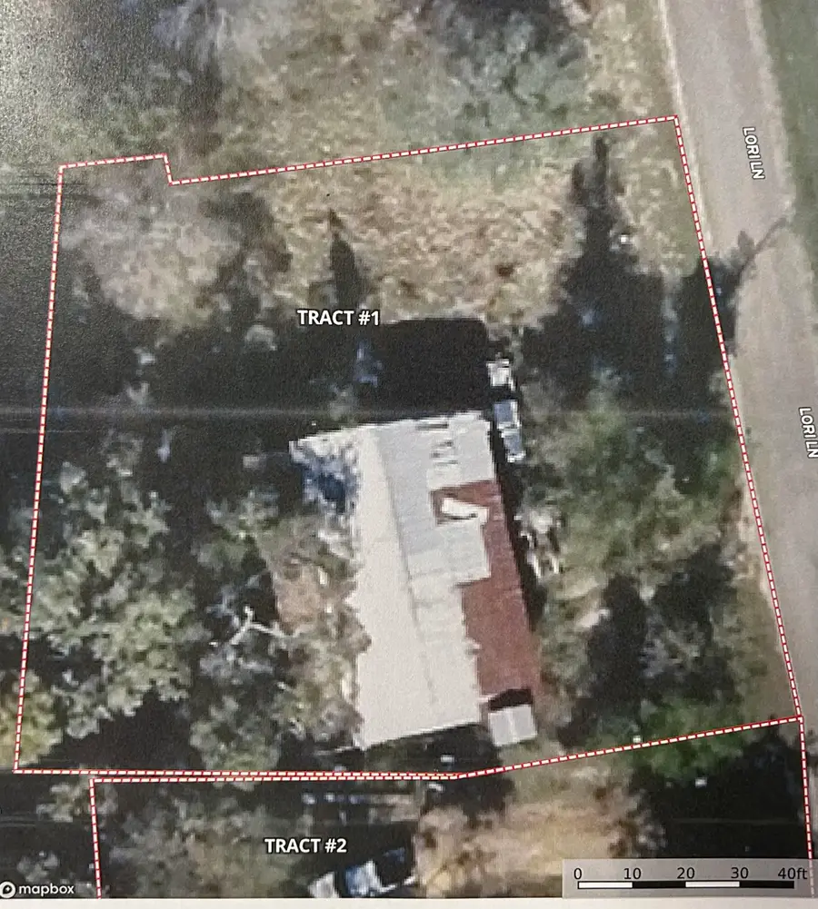 181 LORI DR, Karnack, TX 75661 - #2