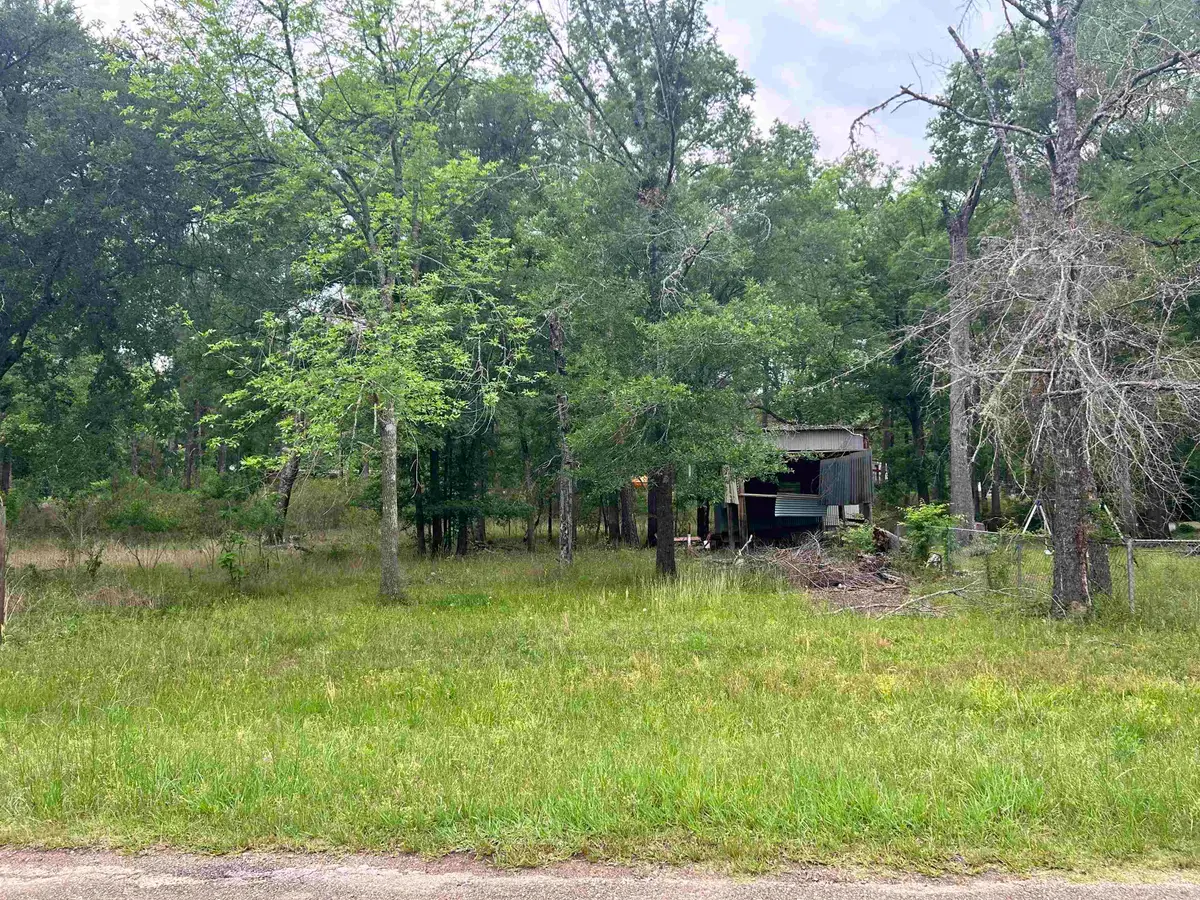 0 LORI DRIVE, Karnack, TX 75661 - #1