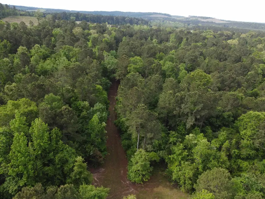 0 STATE HWY 154, Marshall, TX 75670 - #2