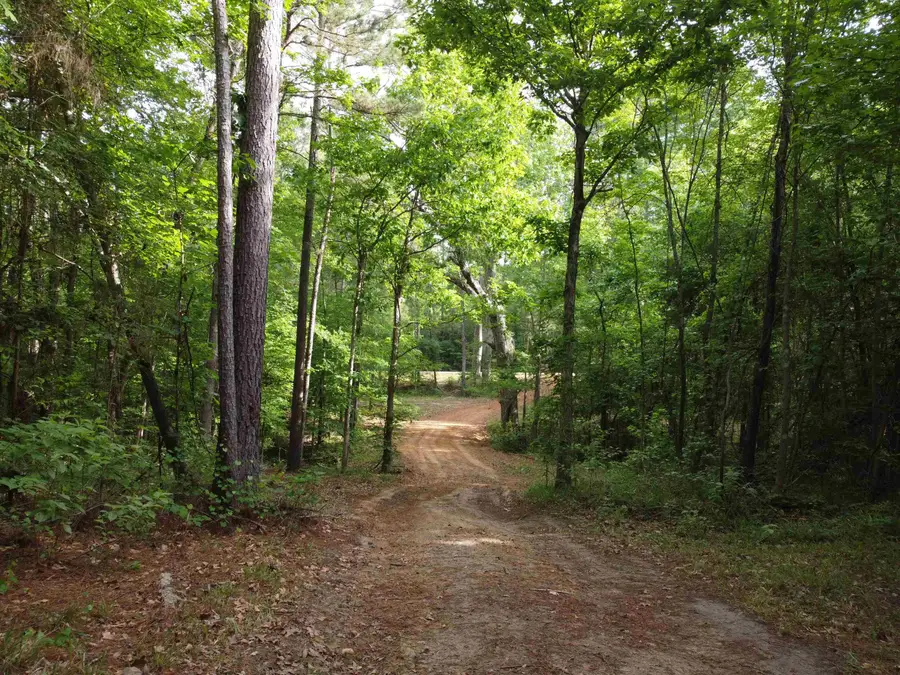 0 STATE HWY 154, Marshall, TX 75670 - #3