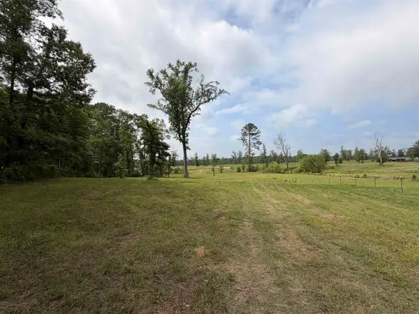 TBD State Highway 154, Diana, TX 75640